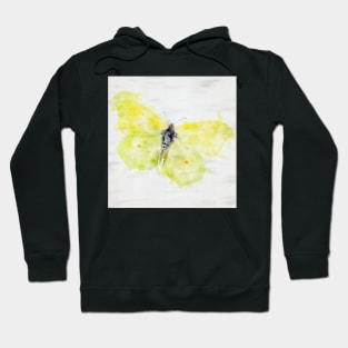 There is a Yellow Butterfly in the Garden! Hoodie